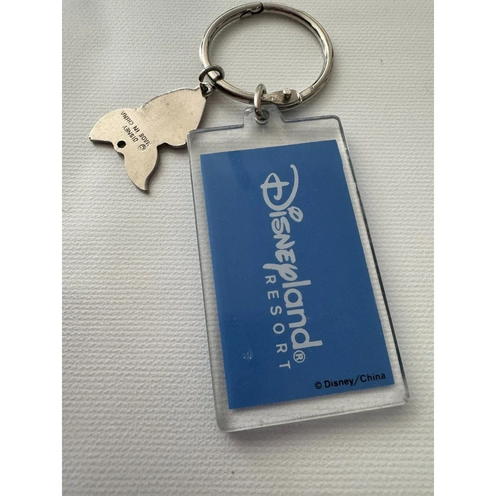 Disneyland Resort Winnie the Pooh Keychain Key Ring Disney with Piglet Charm Add